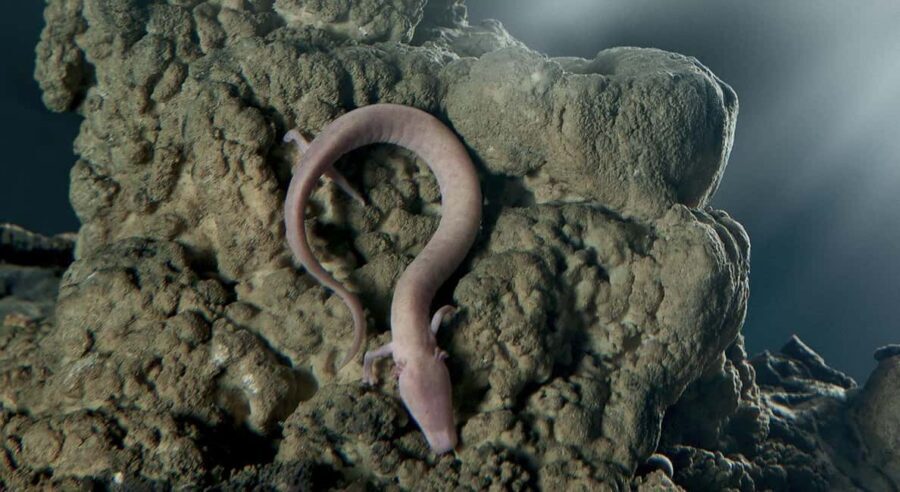 Tour to Postojna Cave and Predjama Castle from Ljubljana - Is This Tour Worth It?