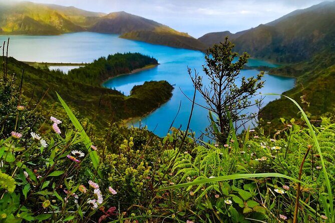 Tour to Sete Cidades, Lagoa do Fogo and Furnas - What Travelers Are Saying: Authentic Perspectives