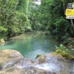Tour to the Magic Waterfalls of Copalitilla - How the Tour is Organized