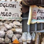 Tour to the Roman castles: Nemi, Ariccia and Castel Gandolfo, a day from Rome - Who Is This Tour Best For?