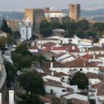 Tour / transfer Lisbon /Porto /Porto/Lisbon with several stops - Who Is This Tour Best For?