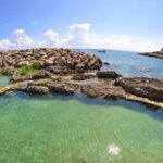 Tour Xcaret All Inclusive from Playa del Carmen - Included Transportation - The Real Experience: What Travelers Say