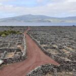 Tours on Pico Island - Cultural and Natural Landscape - Who Is This Tour Best For?
