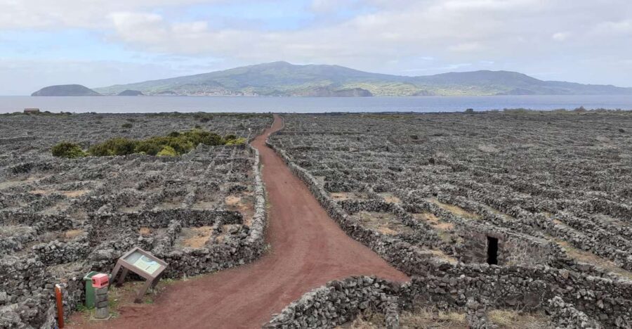 Tours on Pico Island - Cultural and Natural Landscape - Who Is This Tour Best For?
