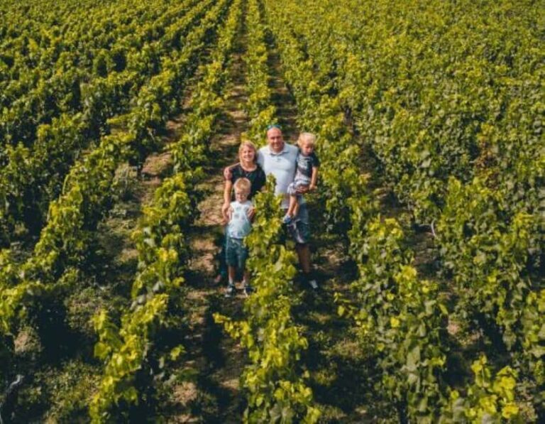 Tours-sur-Marne: Cellar Tour & Champagne Tasting - The Value of the Experience