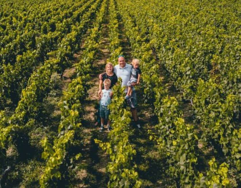 Tours-sur-Marne: Cellar Tour & Champagne Tasting - The Value of the Experience