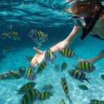 Tours_Miami_Day Trip To Key West From Miami_D662 38439P1 Review - Optional Activities: Customizing Your Visit