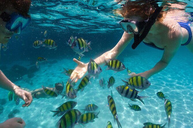 Tours_Miami_Day Trip To Key West From Miami_D662 38439P1 Review - Optional Activities: Customizing Your Visit