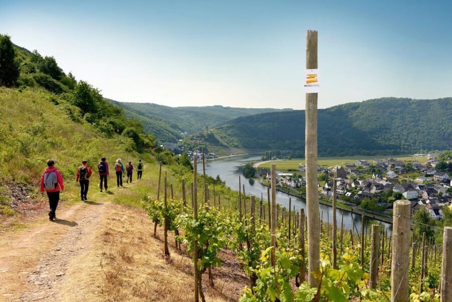 Traben-Trarbach / Bernkastel-Kues, Moselle: Wine experience hike - Why This Tour Could Be a Great Choice