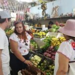 Traditional Family Kitchen in Cozumel - Who Should Consider This Tour?
