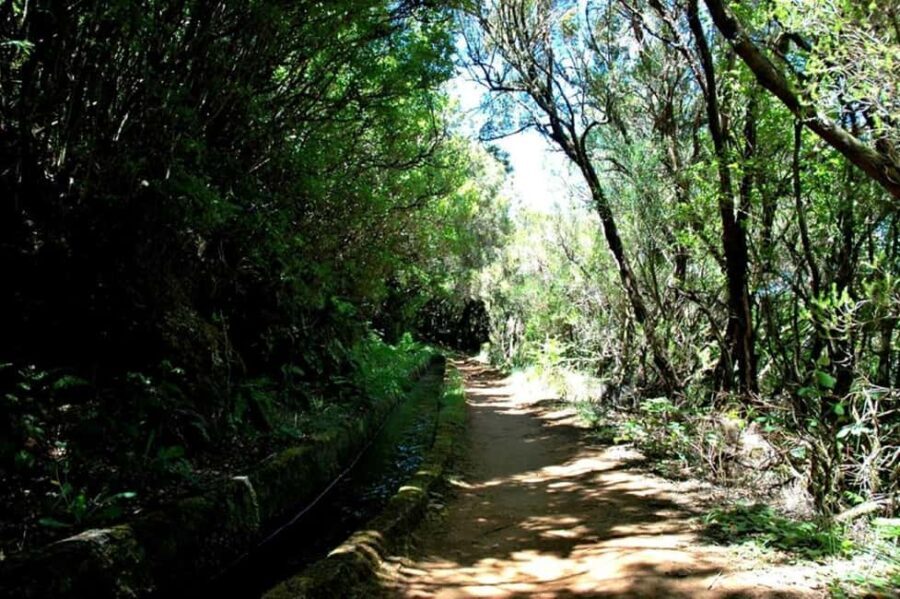 Trail to Wind Lagoon  Explore Levada do Alecrim - FAQs