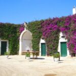 Trani Wine Tours: Flavors of Puglia - The Experience From Different Angles