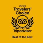 Transfer between London & Southampton - Cruise Terminal or Hotel - Deep Dive into the Pricing and Value