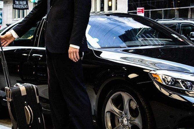 Transfer Civitavecchia port to Rome - Real Traveler Insights and Review Highlights