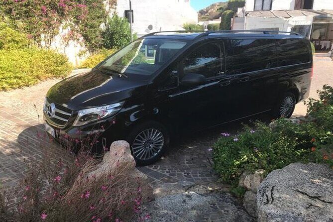 Transfer Fiumicino airport - Civitavecchia port or vice versa - The Booking and Cancellation Experience