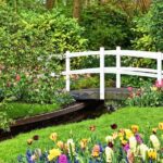 Transfer from Amsterdam to Keukenhof Gardens Tulip from Amsterdam - The Itinerary Breakdown
