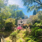 Transfer from Porto da Cruz to Pico Ruivo - Arieiro Or PR9 - An in-Depth Look at the Experience