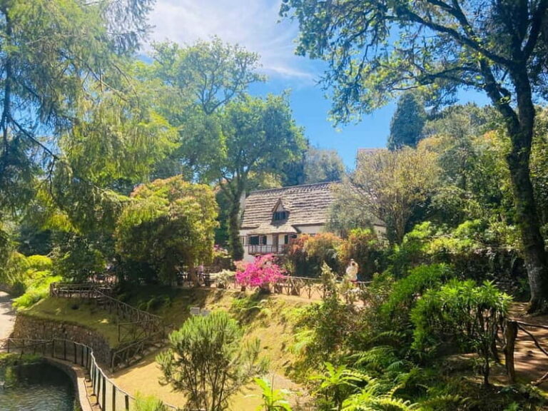 Transfer from Porto da Cruz to Pico Ruivo - Arieiro Or PR9 - An in-Depth Look at the Experience