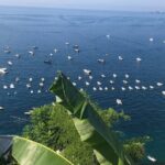 Transfer- from Ravello to Rome & Vice Versa - The Route and Stops