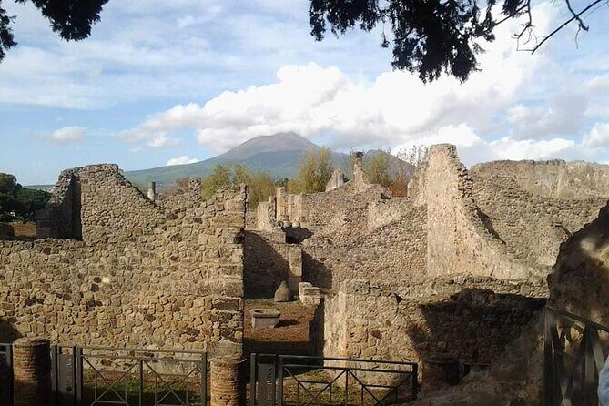 Transfer Naples airport/station to Sorrento with stop in Pompeii - Who Is This Tour Best For?