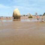 Transfer to Algarve - What to Expect on the Journey