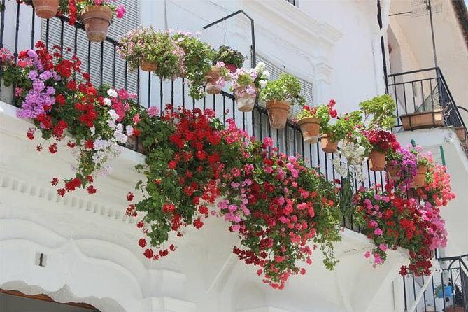 Transfer to Malaga from Seville - How the Transfer Works: Step-by-Step