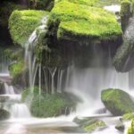 Transfert Assisi to Marmore Waterfalls or Rasiglia - A Closer Look at the Transfer Experience