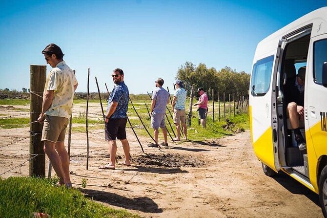 Transportation Suburban Weddings,Birthday/Valley of Guadalupe - How the Experience Unfolds