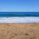 Transportation to North Shore - The Sum Up