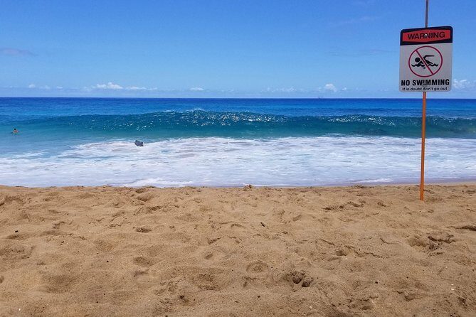 Transportation to North Shore - The Sum Up