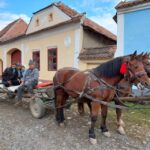Transylvania Gems: Sighisoara, Medias, Biertan & Gypsy life - How the Day Unfolds: The Itinerary Breakdown