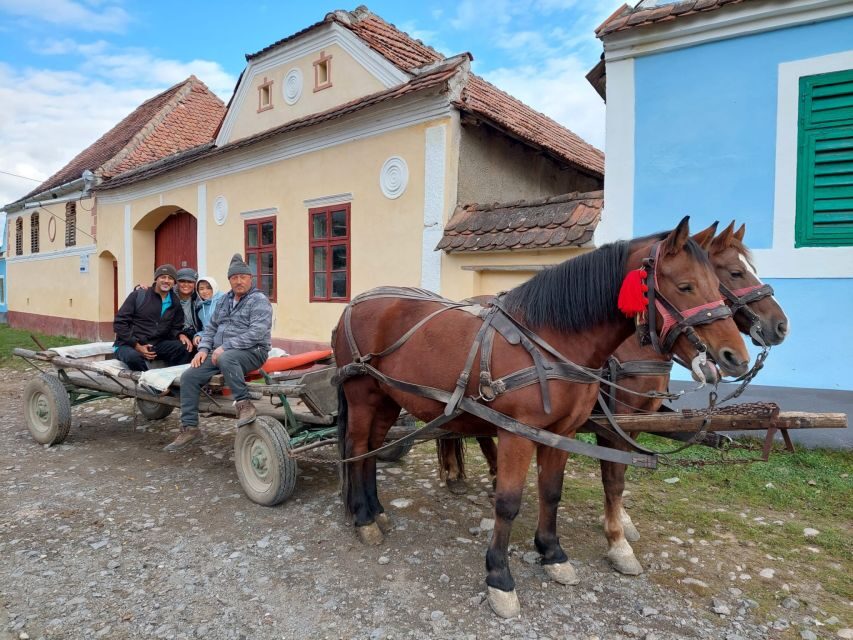 Transylvania Gems: Sighisoara, Medias, Biertan & Gypsy life - How the Day Unfolds: The Itinerary Breakdown