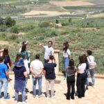 Trapani: Organic Wine Tasting with the Producer - Who Should Consider This Tour?