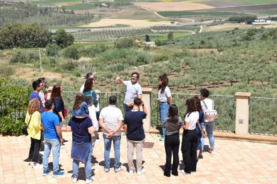 Trapani: Organic Wine Tasting with the Producer - Who Should Consider This Tour?