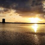 Trapani: Salt Pans Sunset Tour and Flamingo Way - A Walk Through the Experience: What to Expect