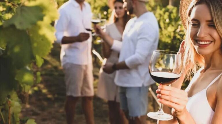 Trasimeno: Discovering Montemelino Wine Experience - Is It Worth the Price?