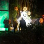 Trauttmannsdorff Castle: Lumagica Light Park Merano 2025/2026 - What To Expect During Your Visit