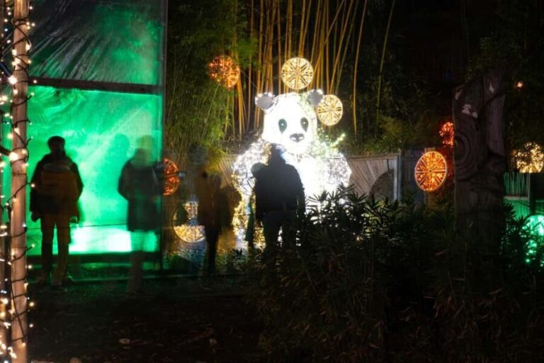 Trauttmannsdorff Castle: Lumagica Light Park Merano 2025/2026 - What To Expect During Your Visit