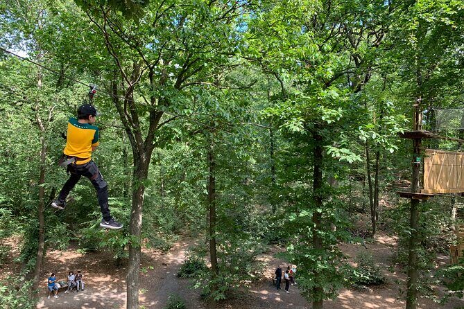 Tree Top Adventure in Forest of Meudon - The Scenic Setting and Course Design
