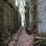 Trekking Excursion History and Nature Necropolis of Norchia from Rome - Why We Think This Tour is Worth It