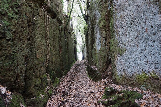 Trekking Excursion History and Nature Necropolis of Norchia from Rome - Why We Think This Tour is Worth It