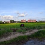 Trekking in the Wood with picnic on the turtles lake - A Walk Through Milan’s Secret Green Space