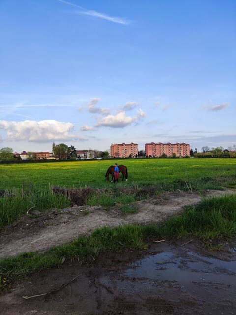 Trekking in the Wood with picnic on the turtles lake - A Walk Through Milan’s Secret Green Space