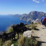 Trekking of the Amalfi Coast - 4 Days / 3 Nights - Who This Tour Is Best For