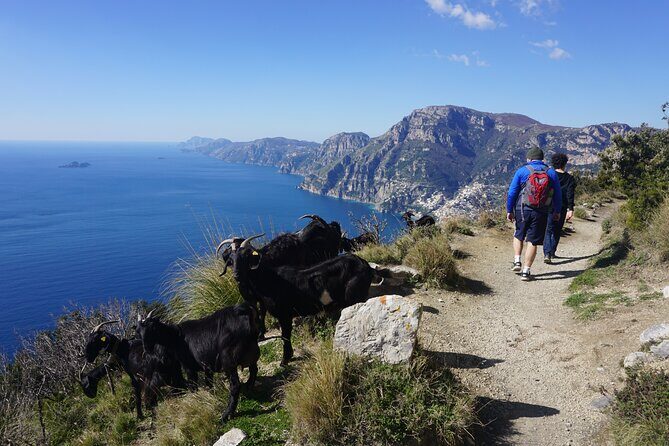 Trekking of the Amalfi Coast - 4 Days / 3 Nights - Who This Tour Is Best For