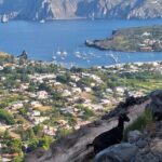 Trekking to discover the Great Crater of Vulcan - The Crater and Fumarolic Field