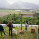 Trentino Agriconda: frutTIAMO...Explore, Learn, Taste Small Fruits - Who Is This Tour Best For?