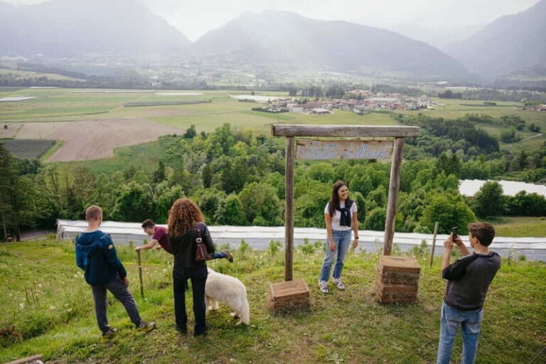 Trentino Agriconda: frutTIAMO...Explore, Learn, Taste Small Fruits - Who Is This Tour Best For?