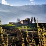Trento: Balter Winery Guided Tour with Wine Tasting - Who Will Love This Tour?