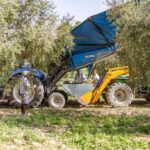 Treurer: Mediterranean barbecue Night - Who Is This Tour Best For?